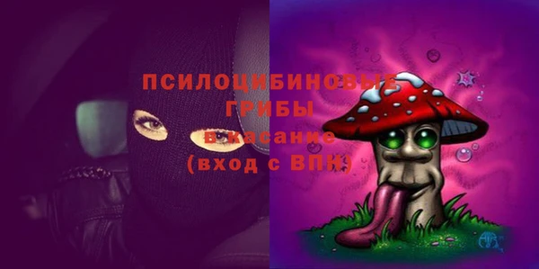 СК Яранск