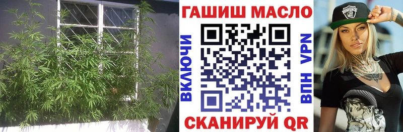 ТГК THC oil  Купить где  Красный Холм 