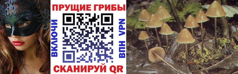Псилоцибиновые грибы ЛСД  Купить где  Красный Холм 